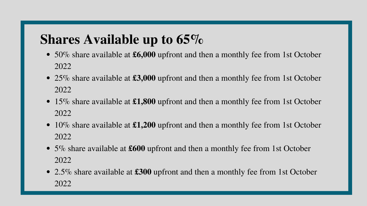 Horses For Sale – Conrad Allen Bloodstock and Racehorse Training