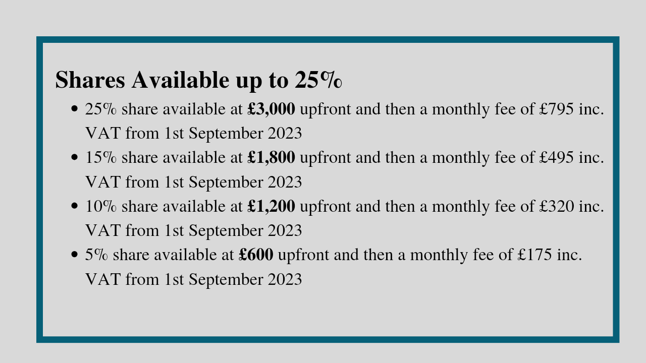 Horses For Sale – Conrad Allen Bloodstock and Racehorse Training